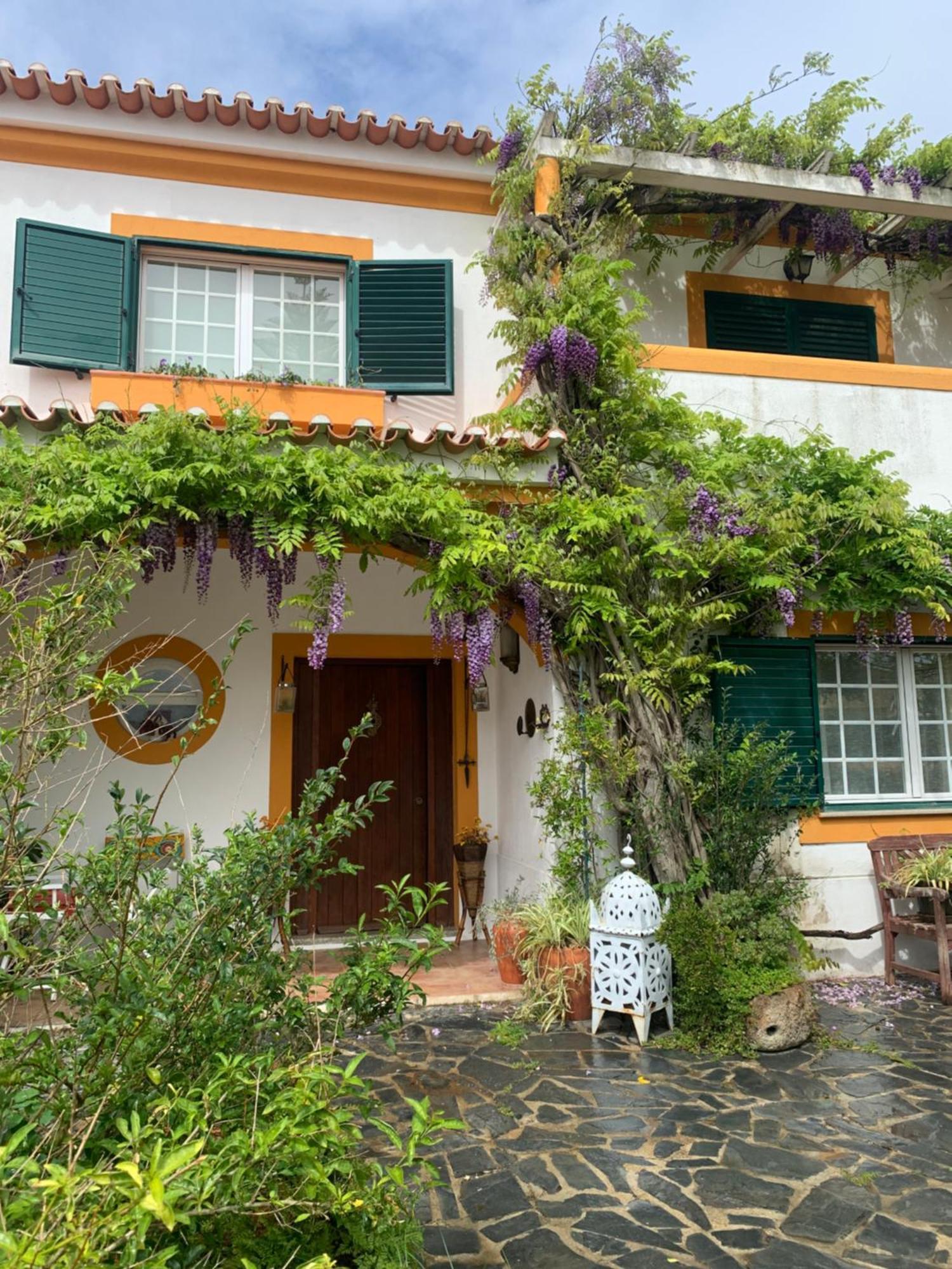 A Casa Do Lagar Apartment Azeitao Bagian luar foto