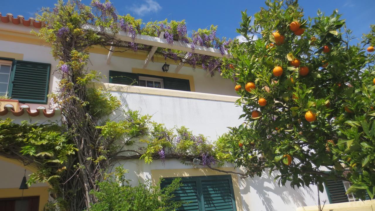 A Casa Do Lagar Apartment Azeitao Bagian luar foto